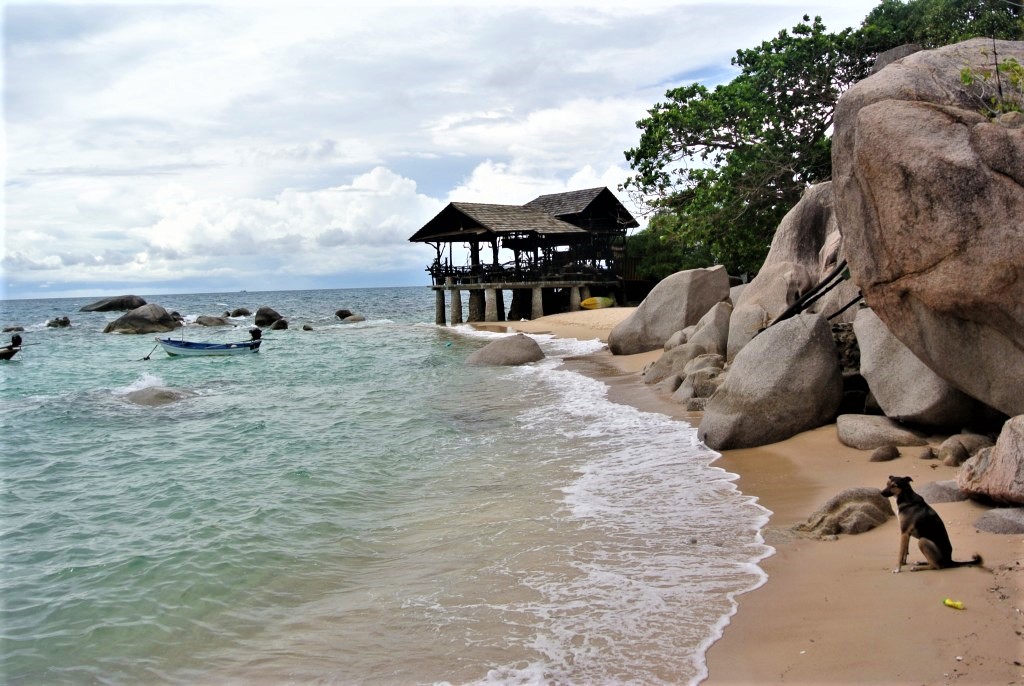 Histoire de Koh Tao : du bagne à l'île paradisiaque