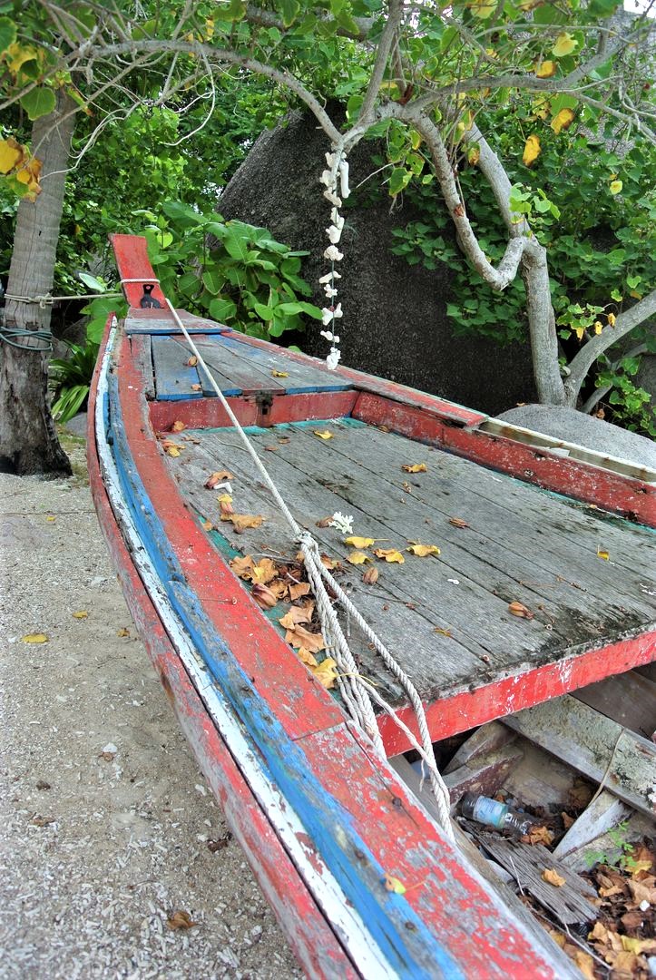 Koh Tao: Best Time to Go and How to Get There