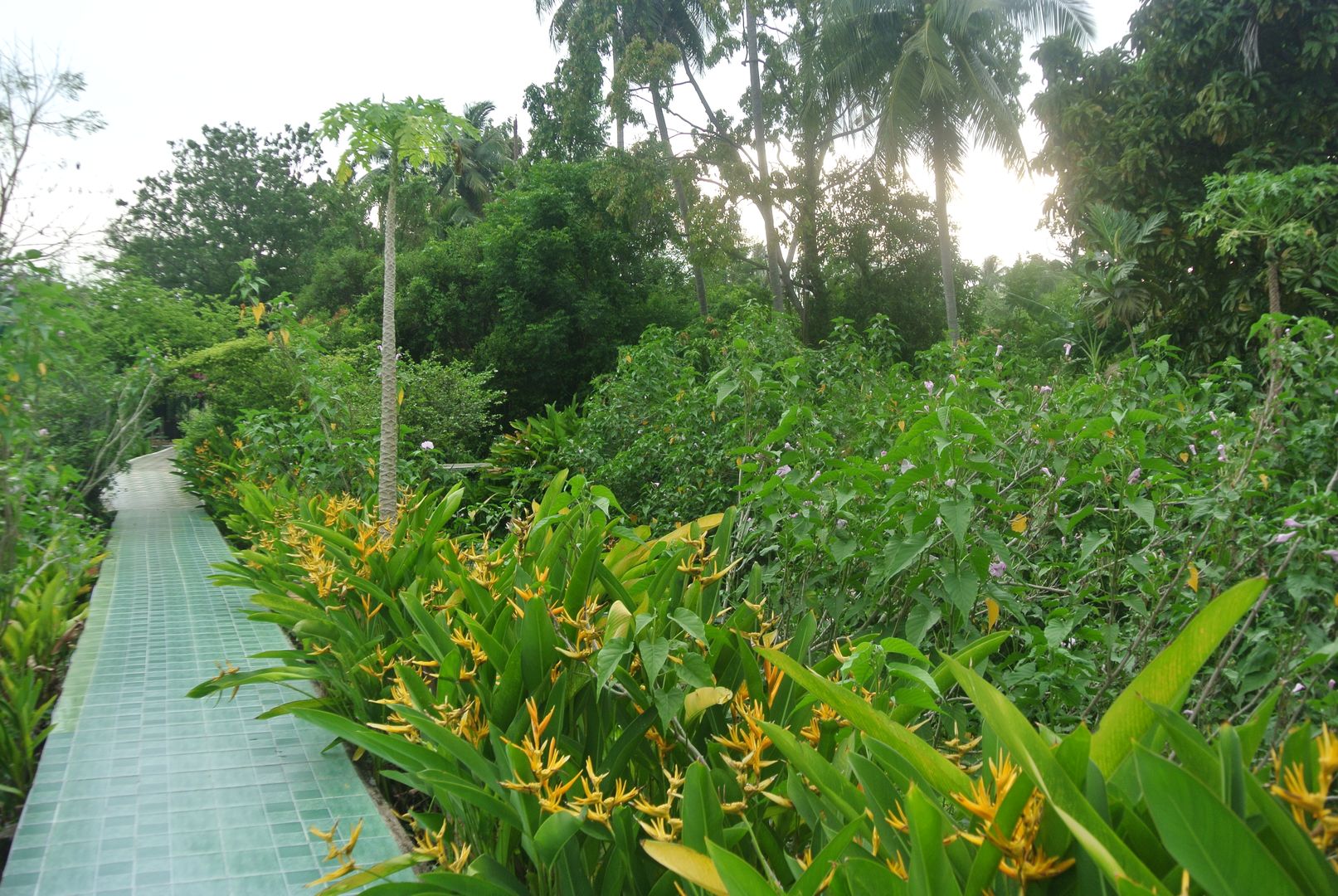 Koh Kret, une île dans la ville