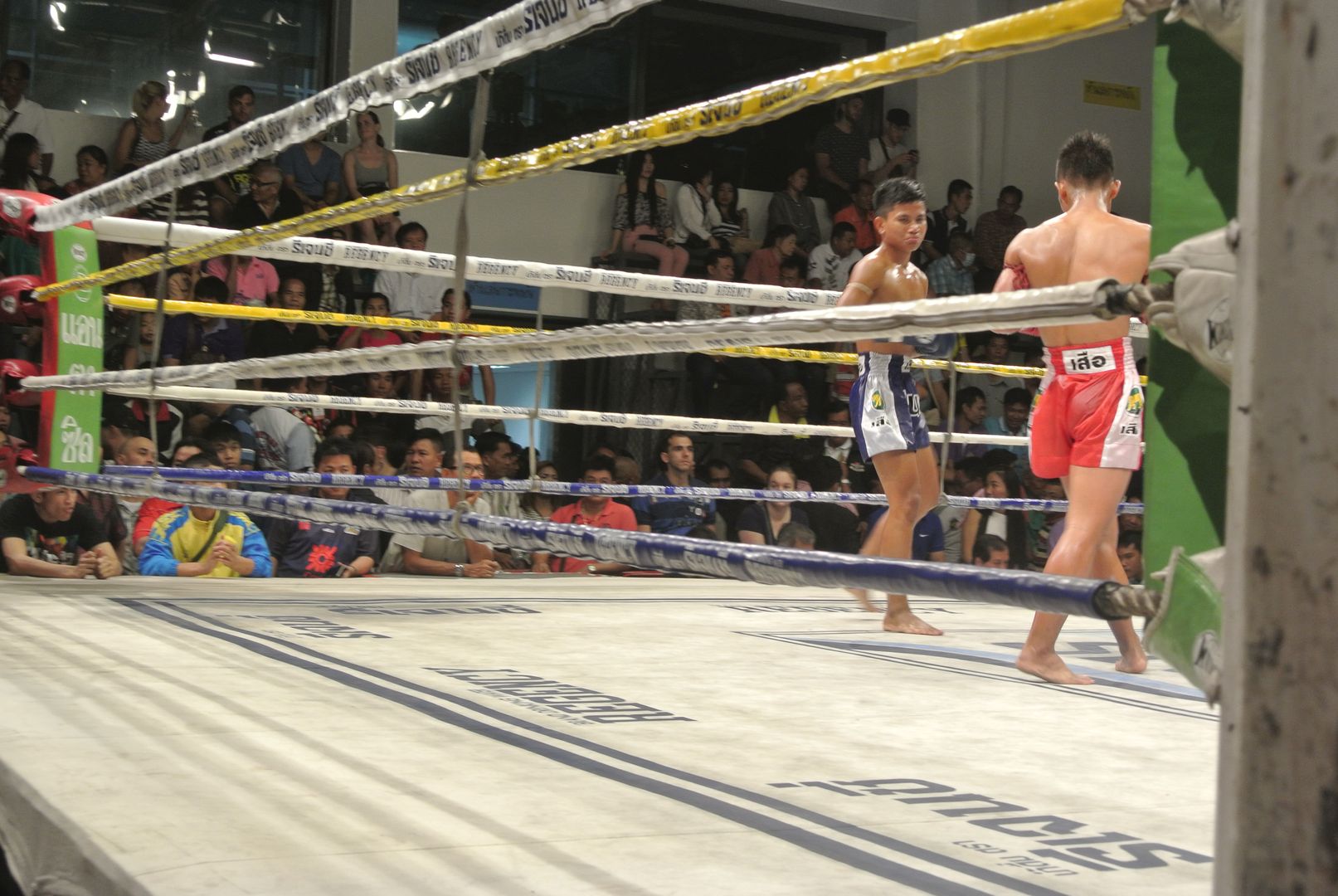 Muay Thai à Bangkok : Meilleurs endroits pour voir des combats de boxe thaïe