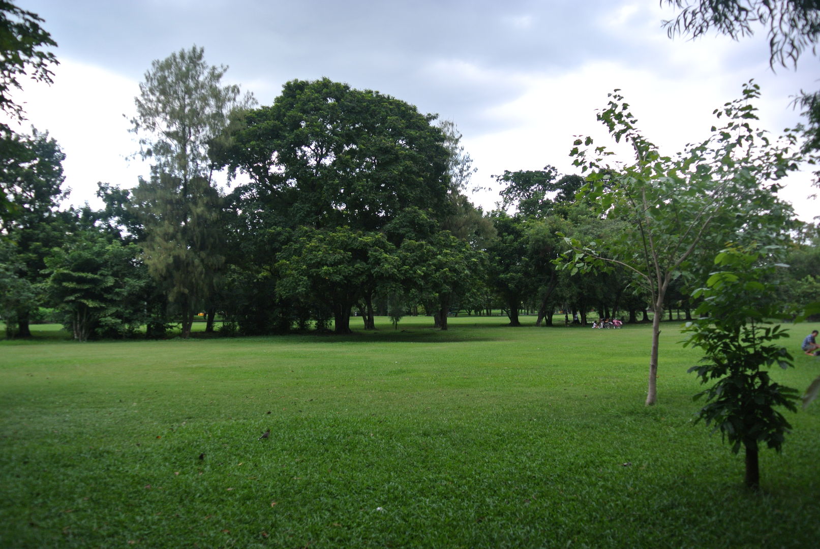 Le Parc Wachira Benchathat - Rot Fai Park : du golf au parc public