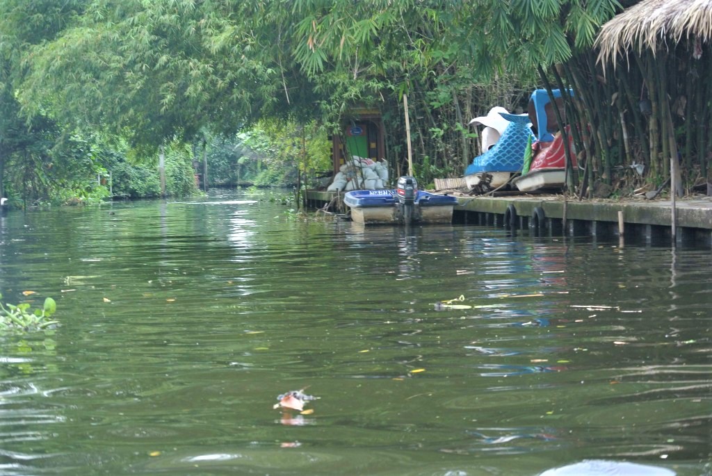 Klong Lad Mayon Market : son khlong et la ferme aux orchidées