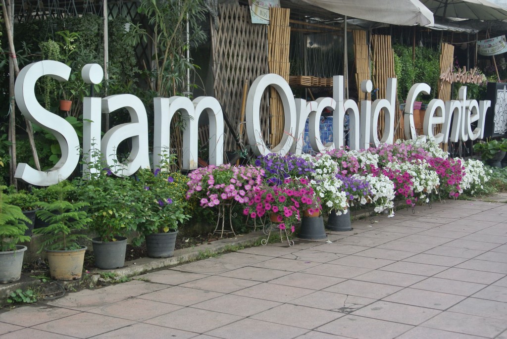 Bangkok, Siam Orchid Center, le marché des orchidées