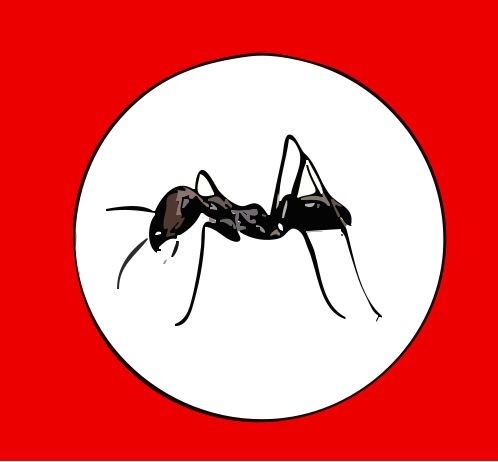fourmis