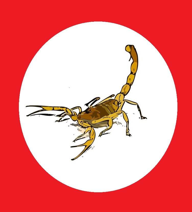 scorpion