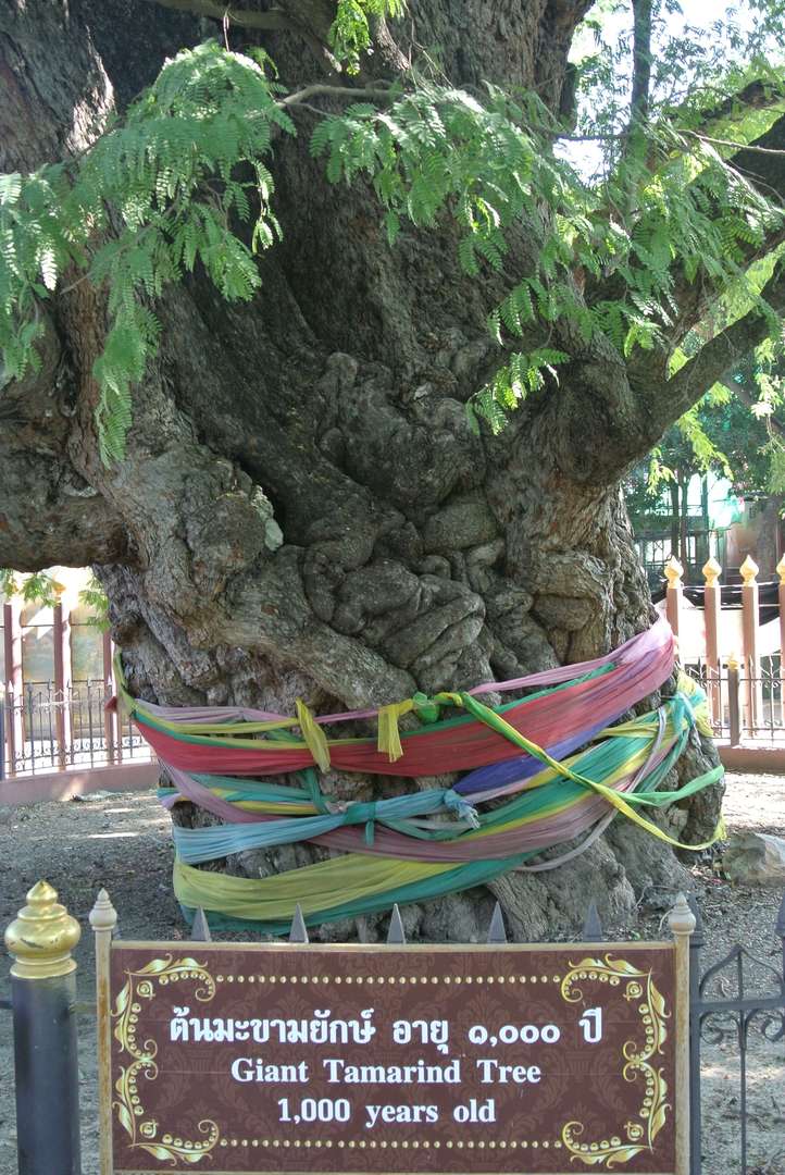 suphanburi