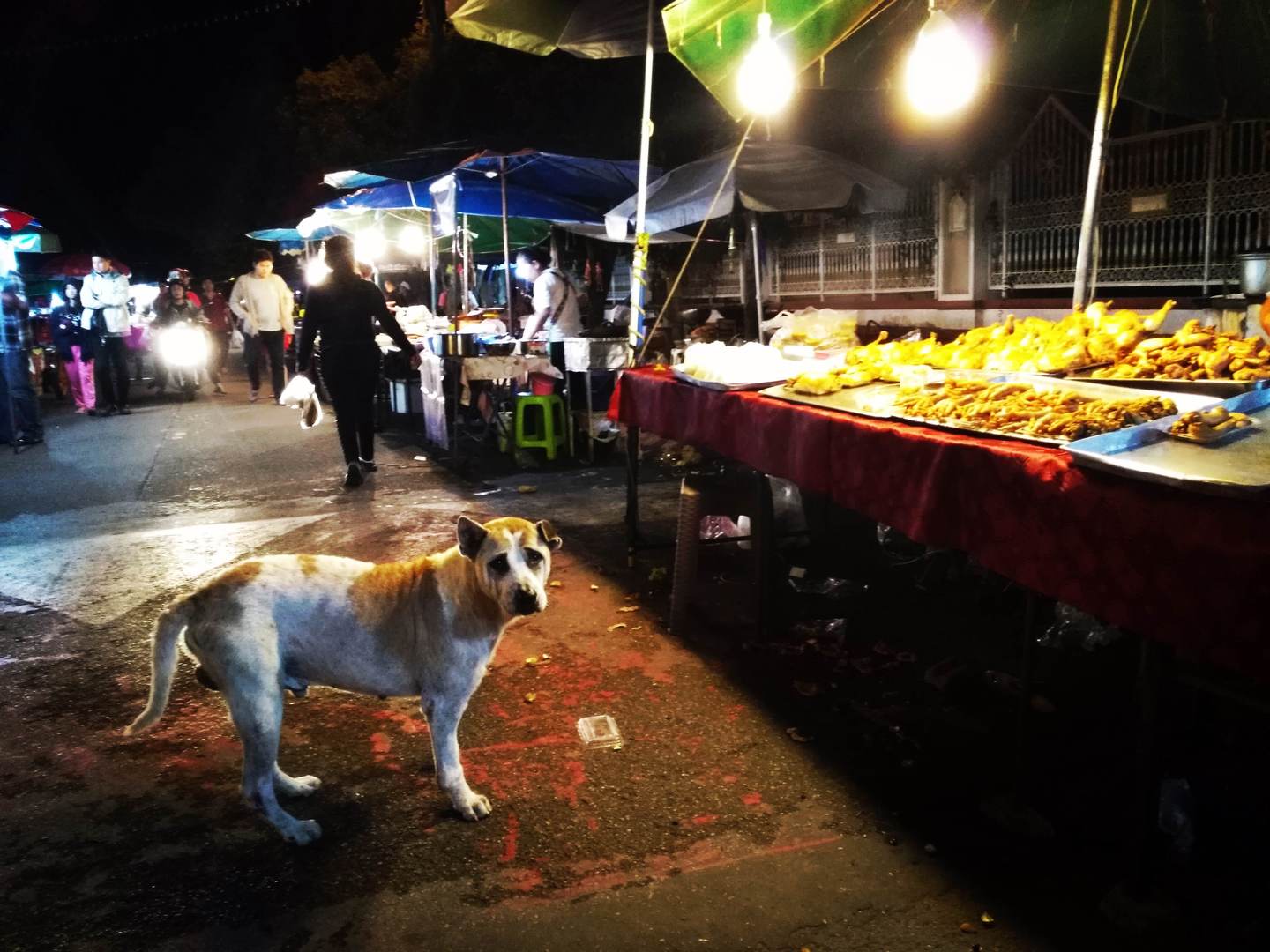 Phitsanulok