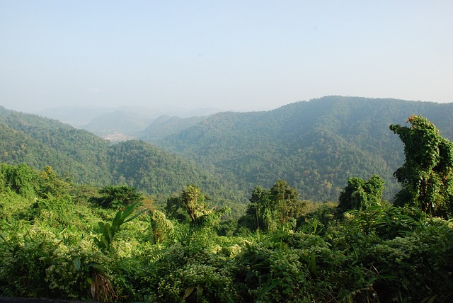 Mae Sot