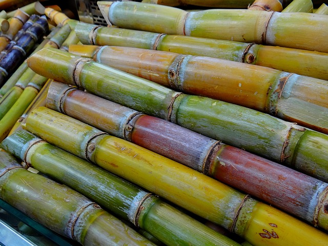 Nong Khai
