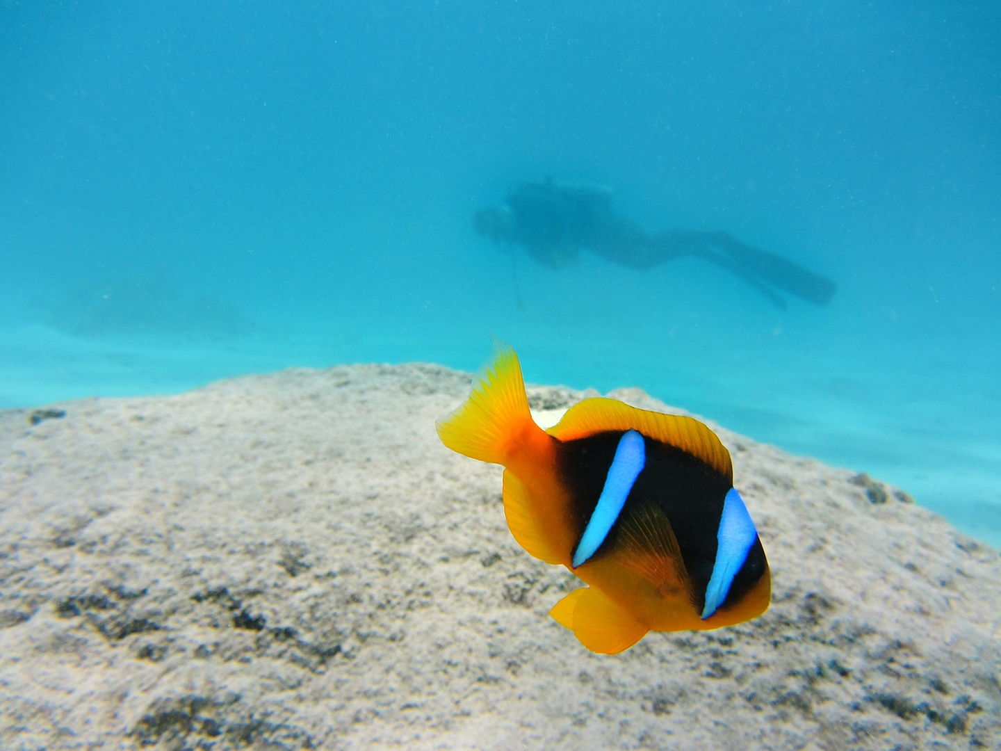 Koh Rong Samloem