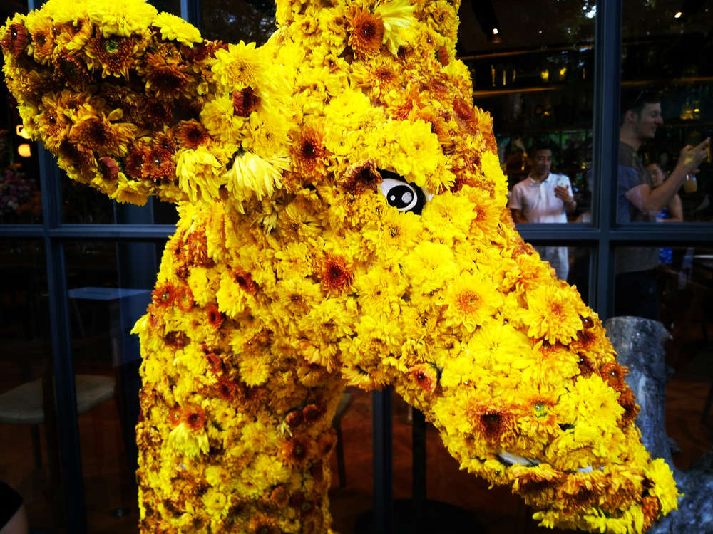 Festival Nai Lert Flower and Garden Art Fair 2020