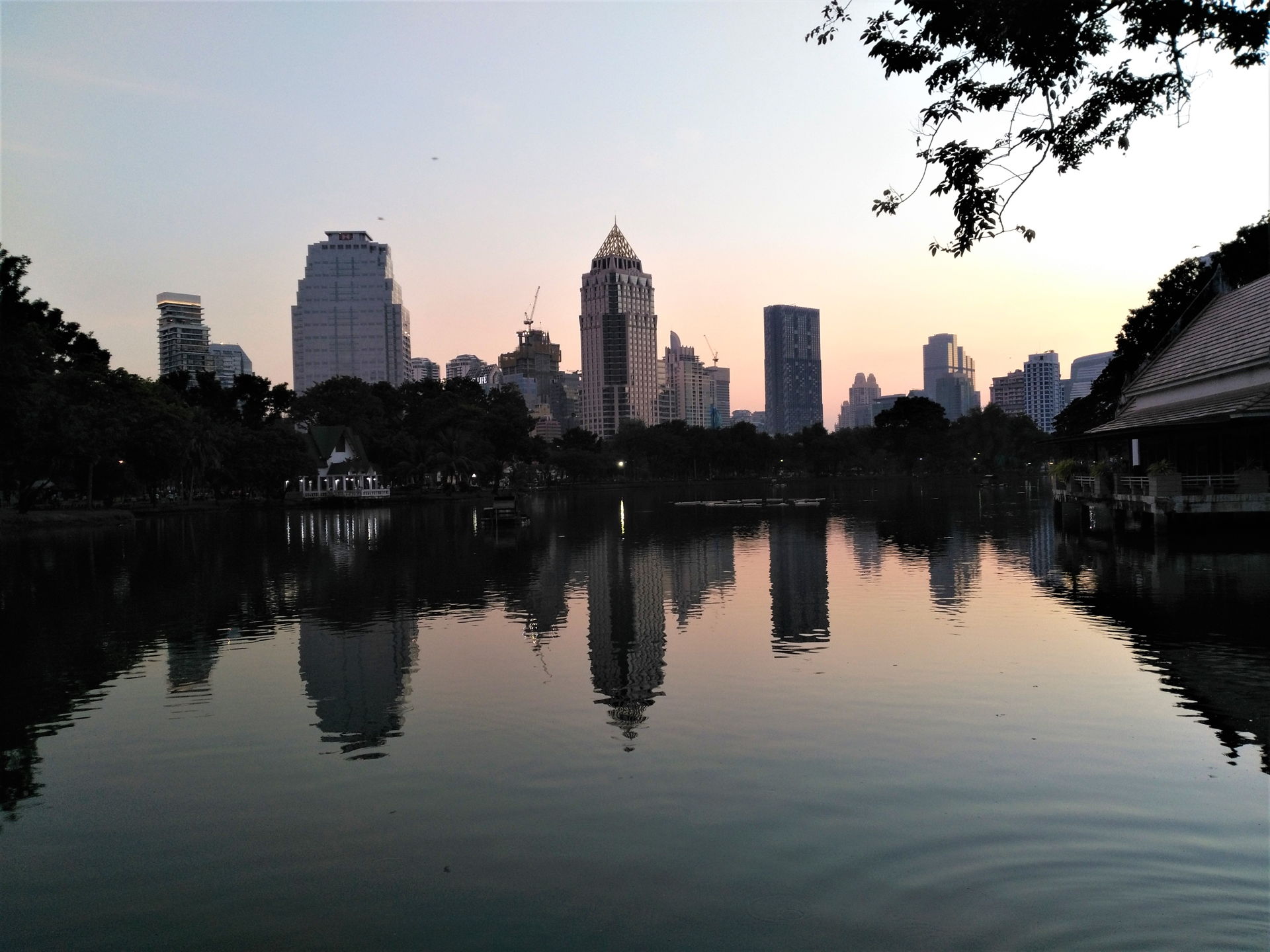 Parc Lumpini Bangkok : activités, infos pratiques et animaux à observer