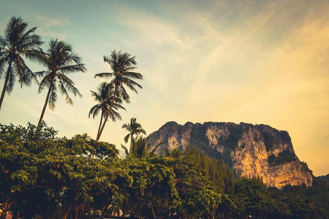 Les 4 sites à voir autour de Krabi
