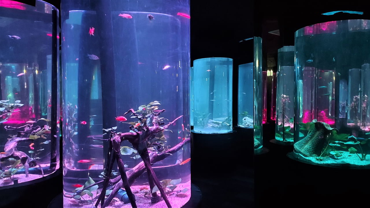 Underwater World, L'aquarium de Pattaya
