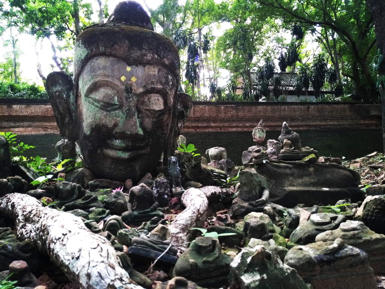 chiang-mai-wat-umong