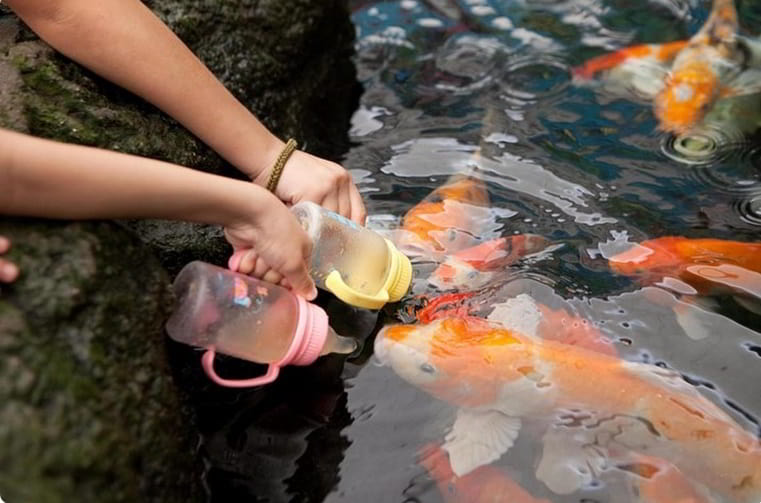 Underwater World Pattaya