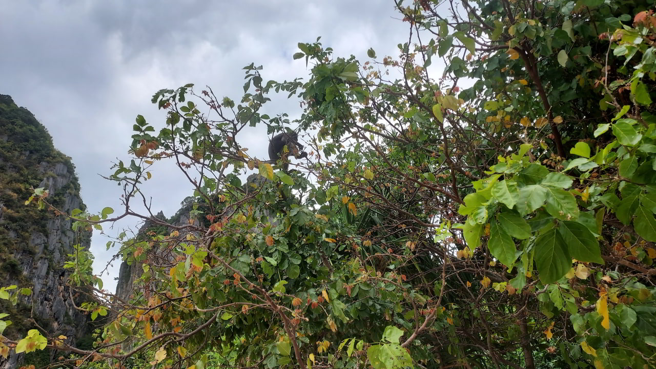 Parc National de Kaeng Krachan