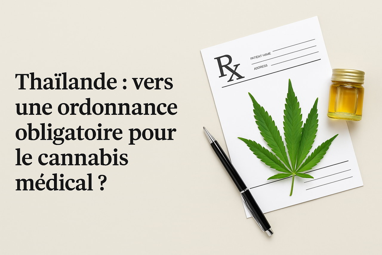 Thaïlande : vers une ordonnance obligatoire pour le cannabis médical ?