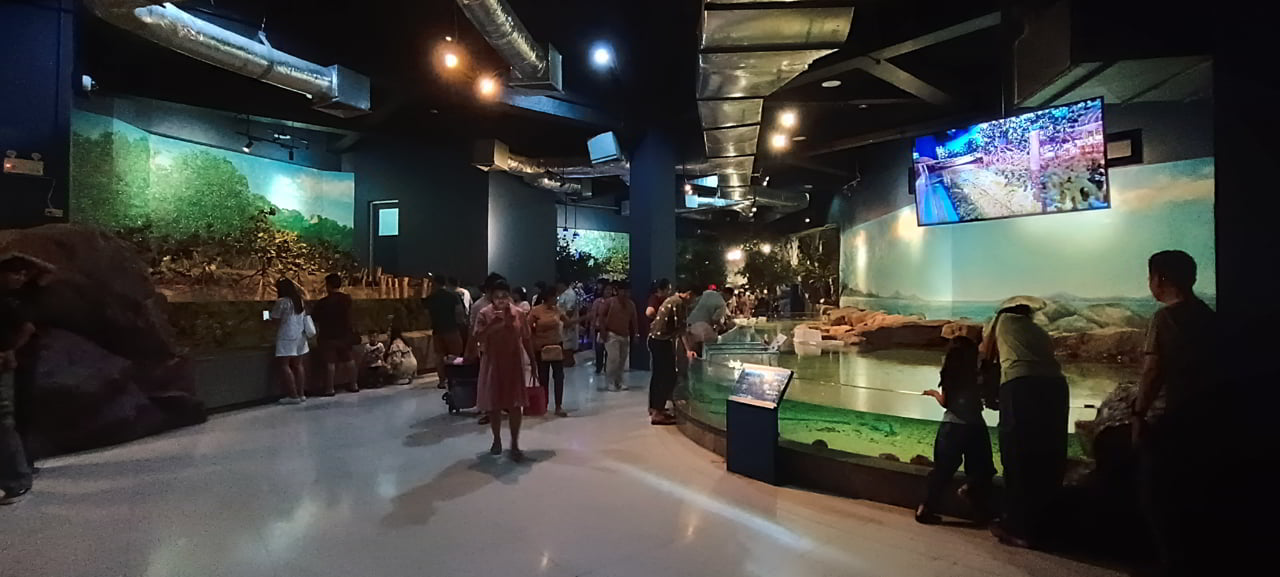 Visiter l'aquarium de Bang Saen de l’université Burapha