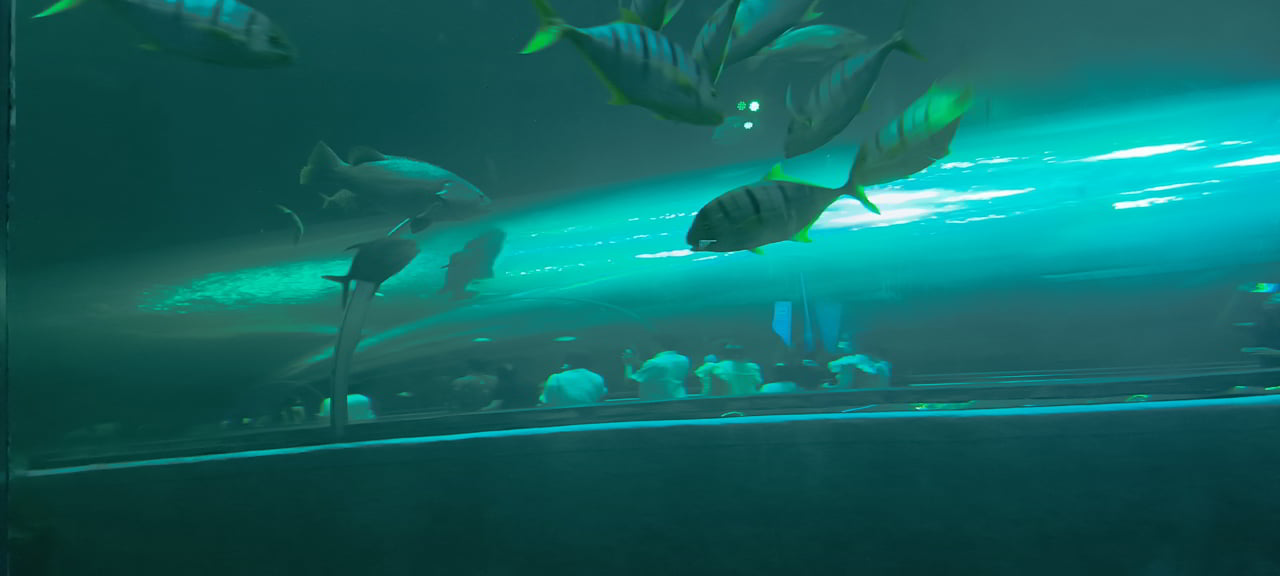 Visiter l'aquarium de l’université Burapha