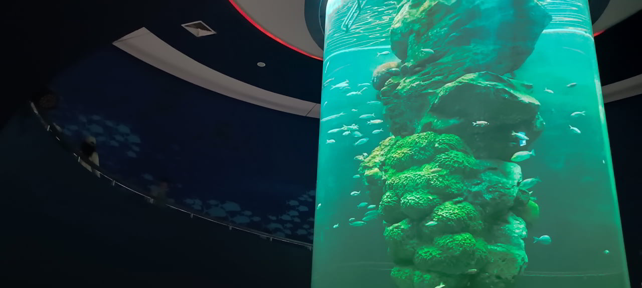 Aquarium de Bang Saen et son aquarium en colonne