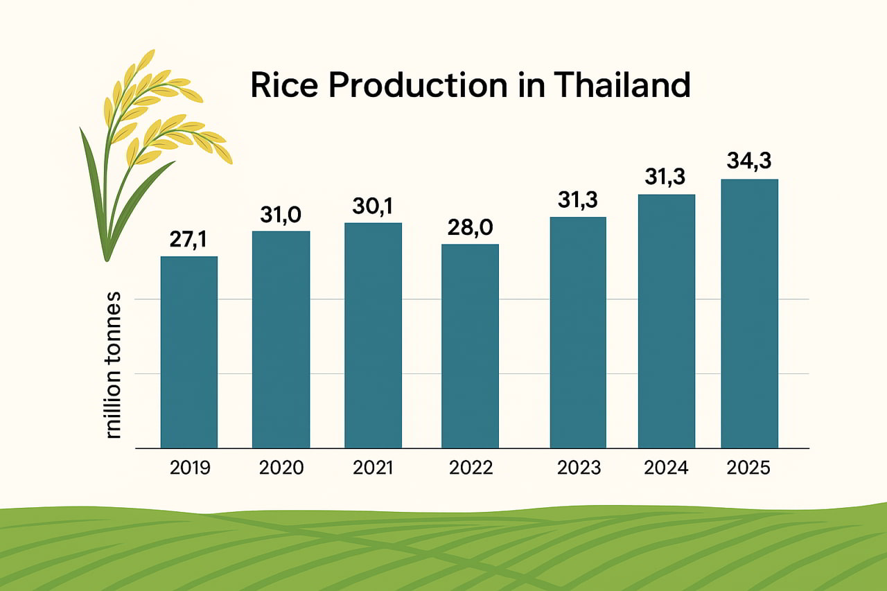 Annual rice production in Thailand