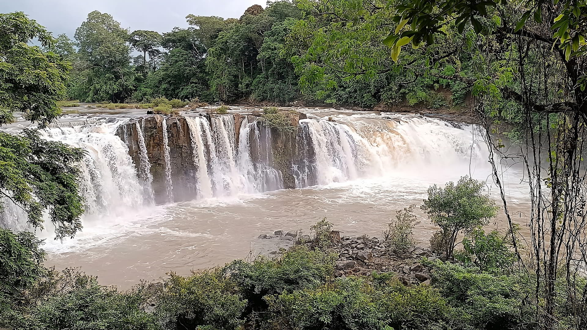 Plateau des Bolovens au Laos : région, café et nature