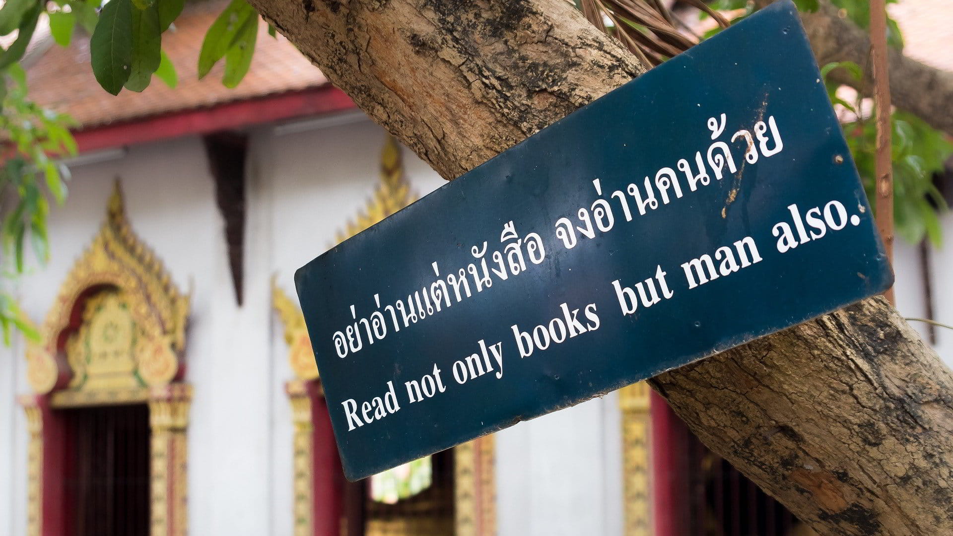 Analyses et débats sur la Thaïlande